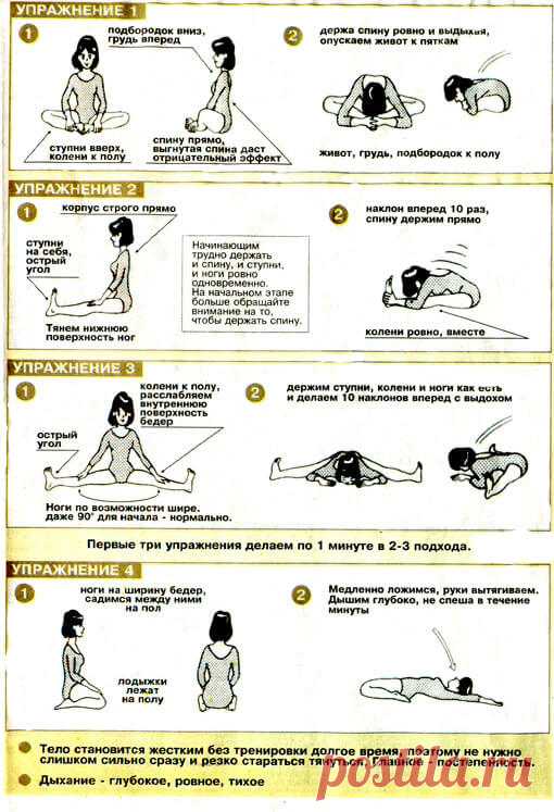 Гимнастика макко-хо. Бодрость духа и гибкость тела своими силами