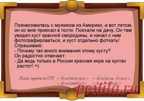 Анекдоты для наших участников!
Чтобы порадовать друзей этим постом - нажмите &quot;Класс!&quot; и &quot;Поделиться&quot;