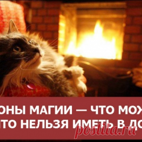 Законы магии — что можно и что нельзя иметь в доме