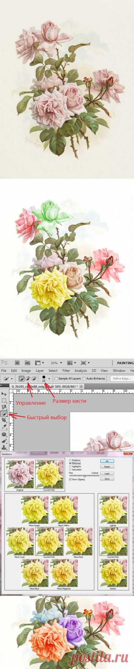 Цветокорекция в Photoshop