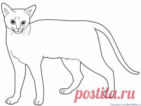 Распечатать раскраску на принтере. Раскраски для детей :: Все для детей. Детские ресурсы