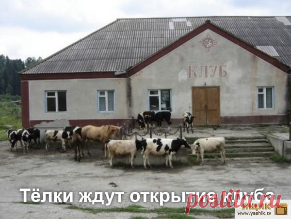 Самые смешные мемы / Картинки: Приколы