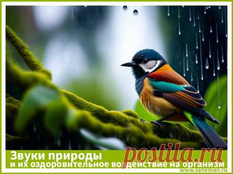 Звуки природы и их оздоровительное воздействие на организм человека В статье рассказывается о благотворном влиянии "природной музыки" на человека и методах исцеления звуками Природы.