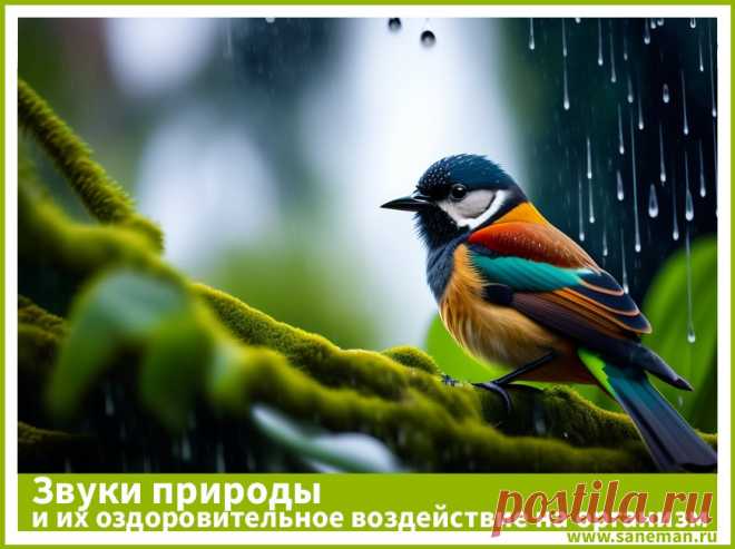 Звуки природы и их оздоровительное воздействие на организм человека В статье рассказывается о благотворном влиянии 