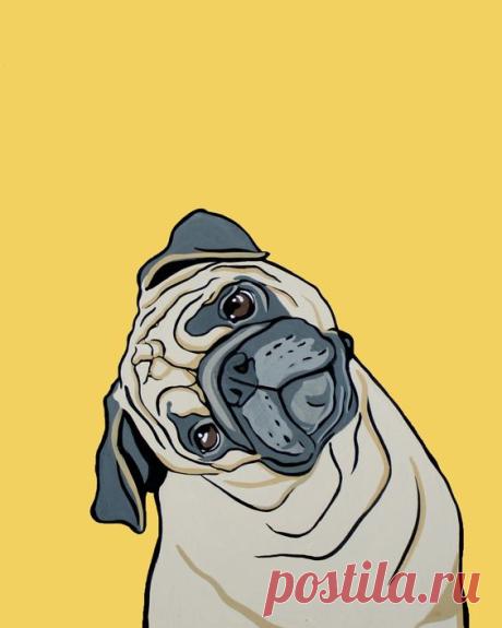 Pet Portrait | Posters Design