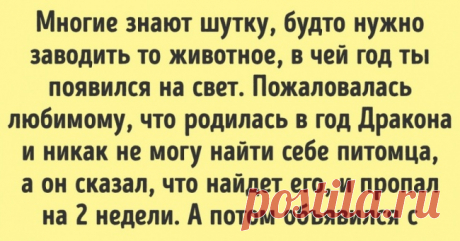 16 коротких историй о том, что любовь и забота проявляются в мелочах . Милая Я