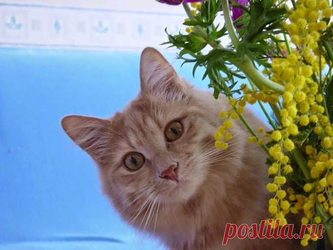 Мой Мир@Mail.Ru
