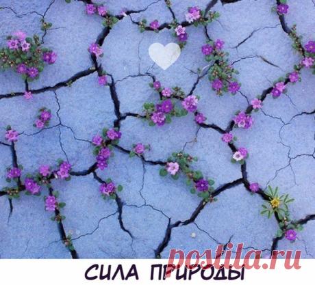 ИДЕИ для творчества