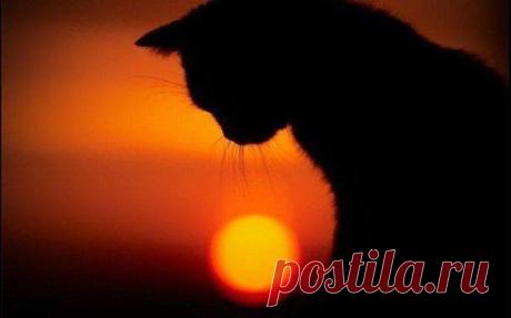 Никогда не лишайте кого-то надежды - это может быть все, что у него есть.