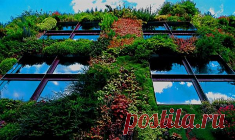Вертикальный сад Vertical Garden (Musee du quai Branly) во Франции