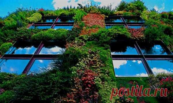 Вертикальный сад Vertical Garden (Musee du quai Branly) во Франции