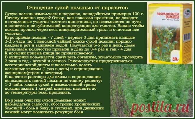 Очищение сухой полынью от паразитов