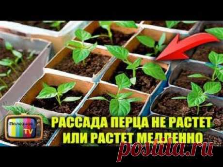 ✔ Подпишись - https://www.youtube.com/channel/UC1Apwh59z8ff7ETT7aJNOxg ✔ Инстаграм - https://www.instagram.com/poleznoe_tv/ ✔ Моя страница в ВК - https://vk....