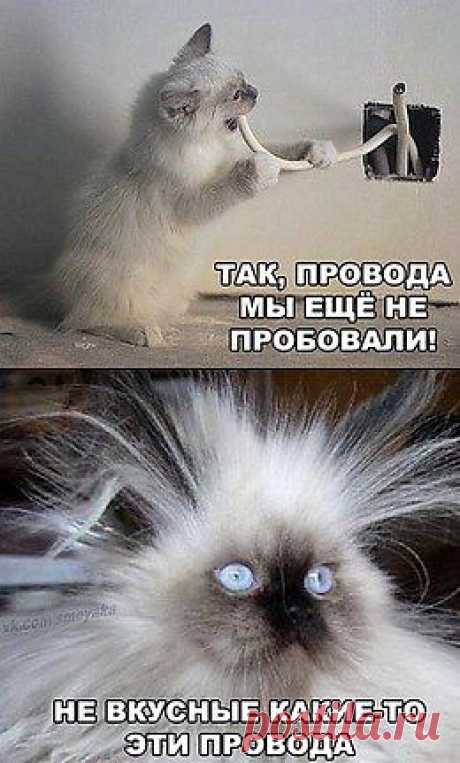 Бугагашенька
