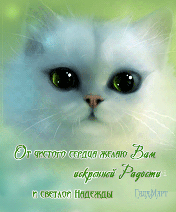 Неделька - 975 фото. Фотографии Зарема Виноградова.