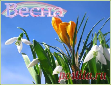 Весна!...
Главное, чтобы тепло было. В семье, в доме, в душе. Вот тогда всё хорошо будет...Всем светлого дня,весны в душе ,теплых отношений и море радости... и счастья в глазах! ☘!!