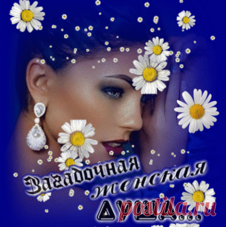 (1) Одноклассники