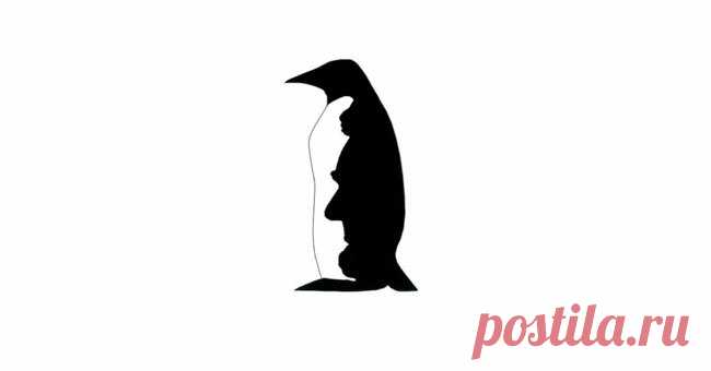 Тест: Тест, который подскажет, в чём ваша родительская сила /Если вы увидели пингвина