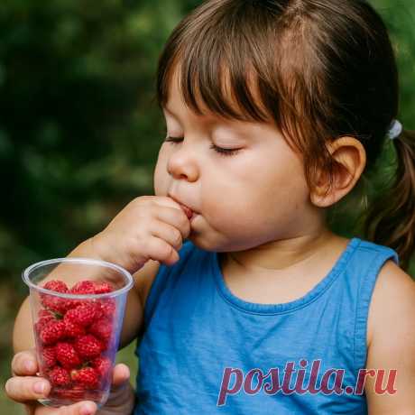 Малина на голову, или В чем измеряется счастье - OGADANIE.RU