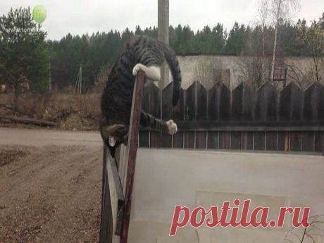 geram: Каким судом судите,таким будете судимы;и какою мерою мерите,такою и вам будут мерить---Иисус Христос