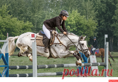 Фото: Конкур. Фотограф Сан Саныч. Спорт - Фотосайт Расфокус.ру