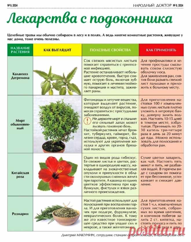 Лекарства с подоконника