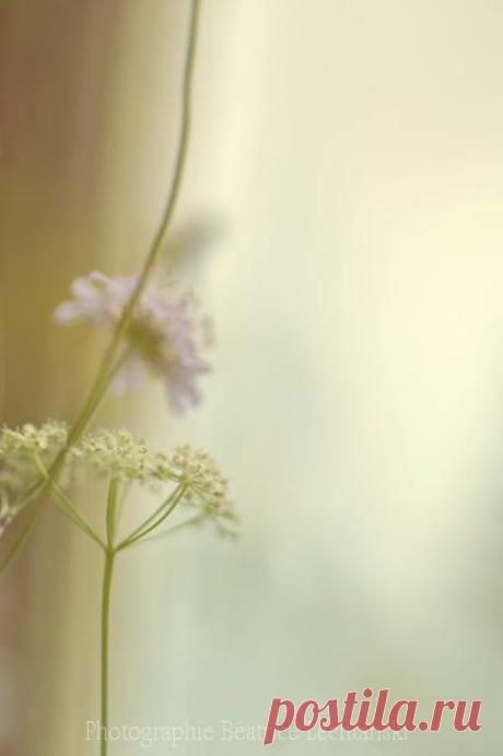 Photographies Béatrice Lechtanski