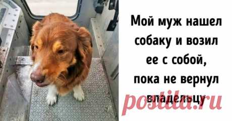 19 человек, которым и без костюма супергероя удается вершить добрые дела . Милая Я