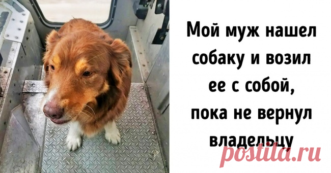 19 человек, которым и без костюма супергероя удается вершить добрые дела . Милая Я