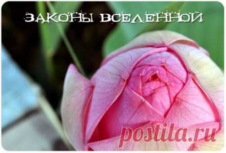 Законы Вселенной