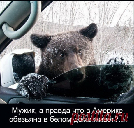 Европеи... (...в мире)