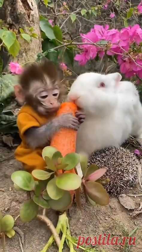 Семья и дети