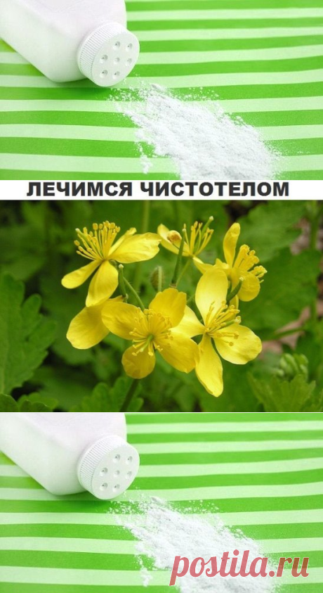 Детская присыпка
