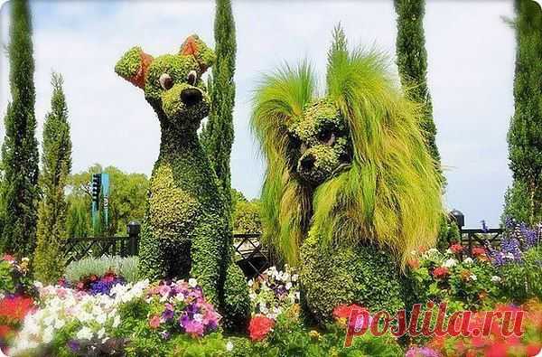 Кобил: Мы говорим, что подумаем, зная ответ заранее