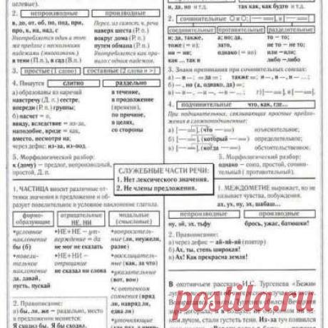Учитель русского языка