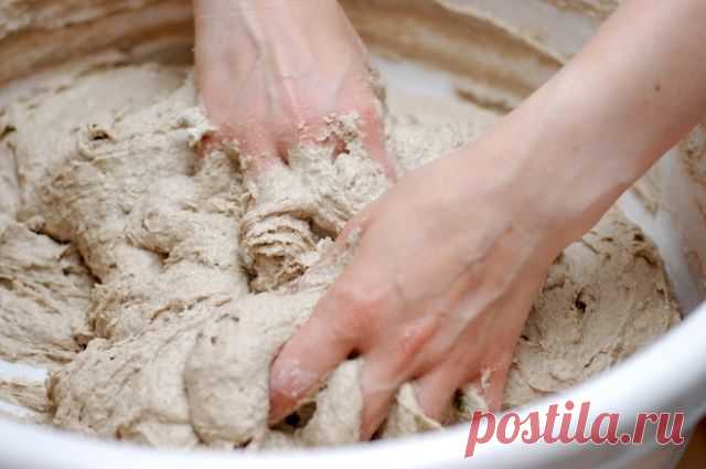 Из хмеля и картофеля. Как приготовить дрожжи и закваски в домашних условиях 
Всё больше хозяек стараются использовать при приготовлении пищи только натуральные ингредиенты. Самый главный продукт на столе - хлеб – уже давно стало модно печь самостоятельно, чтобы он получался а…