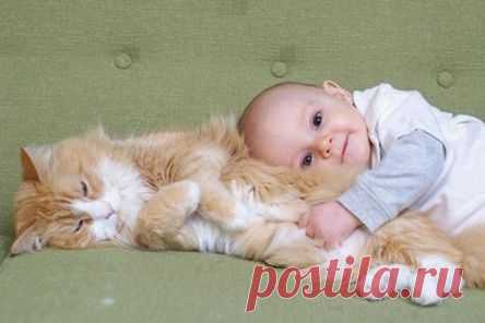(8) Facebook