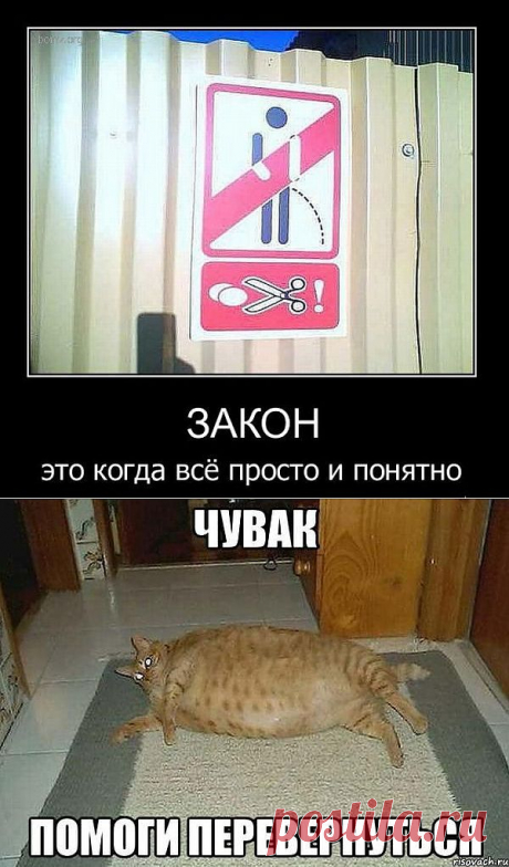 (+1) - Ассорти - 3 | ОБОРЖАКА ;)