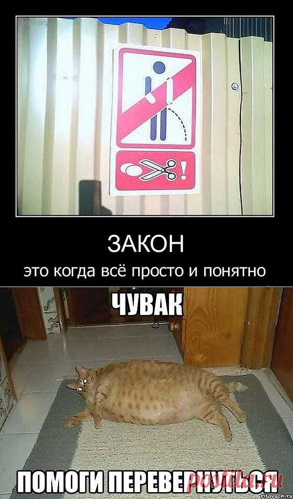 (+1) - Ассорти - 3 | ОБОРЖАКА ;)
