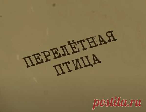 ВНЕЗАПНОЕ БОГАТСТВО УЧЁНОГО ПРИВЕЛО К НЕПОПРАВИМЫМ ПОСЛЕДСТВИЯМ... КТО РЕШИЛСЯ НА ЭТО? ВЕЩДОК