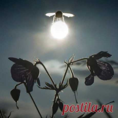 Всё о женщинах