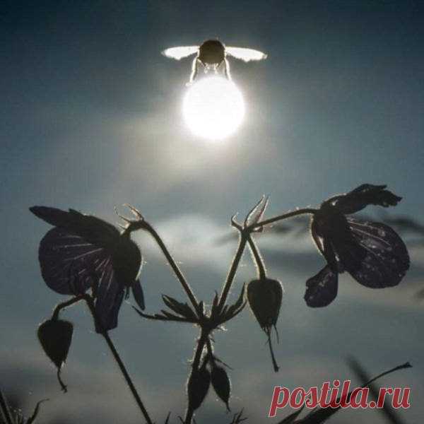 Всё о женщинах