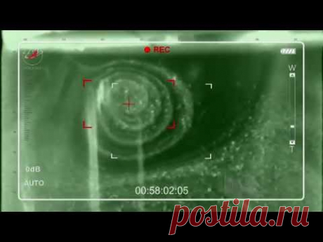 8 технологий расчеловечивания. — Путь к себе — Профессионалы.ru