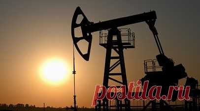 Выше западного потолка: российская нефть Urals уже ровно год стабильно продаётся дороже $60 за баррель. Российская нефть марки Urals уже ровно год непрерывно торгуется дороже западного потолка цен $60. Это, в свою очередь, привело к заметному увеличению доходов бюджета страны, хотя изначально недружественные государства намеревались лишить Москву прибыли от продажи энергоресурса. Введённые в декабре 2022-го ограничения США и Европы на первых порах привели к резкому удешевлению сырья из РФ, но…