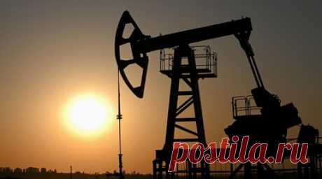 Выше западного потолка: российская нефть Urals уже ровно год стабильно продаётся дороже $60 за баррель. Российская нефть марки Urals уже ровно год непрерывно торгуется дороже западного потолка цен $60. Это, в свою очередь, привело к заметному увеличению доходов бюджета страны, хотя изначально недружественные государства намеревались лишить Москву прибыли от продажи энергоресурса. Введённые в декабре 2022-го ограничения США и Европы на первых порах привели к резкому удешевлению сырья из РФ, но…