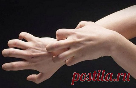 Укусы комаров: 17 домашних средств для снятия зуда