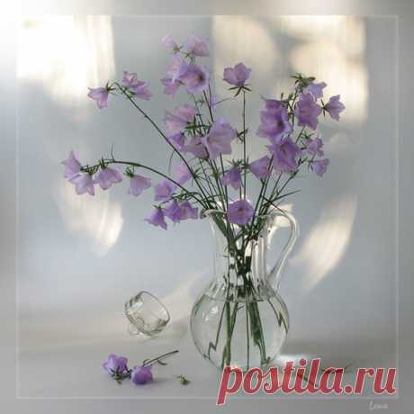 Цветочно-утренняя нежность