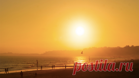 Пробуди в себе творчество: как утренние ритуалы влияют на креативность