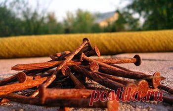 Полезный металлолом - sadtv.ru - с Ольгой Платоновой