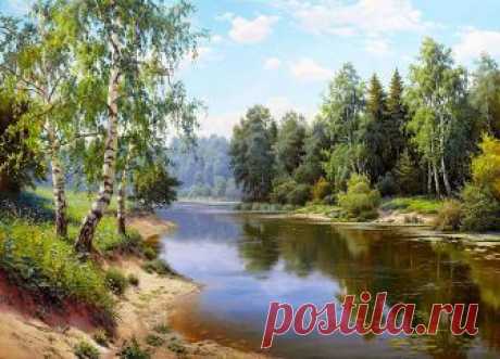 Край берёзовый... Художник Прищепа Игорь